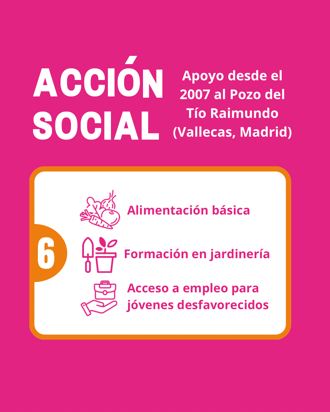 accion 6